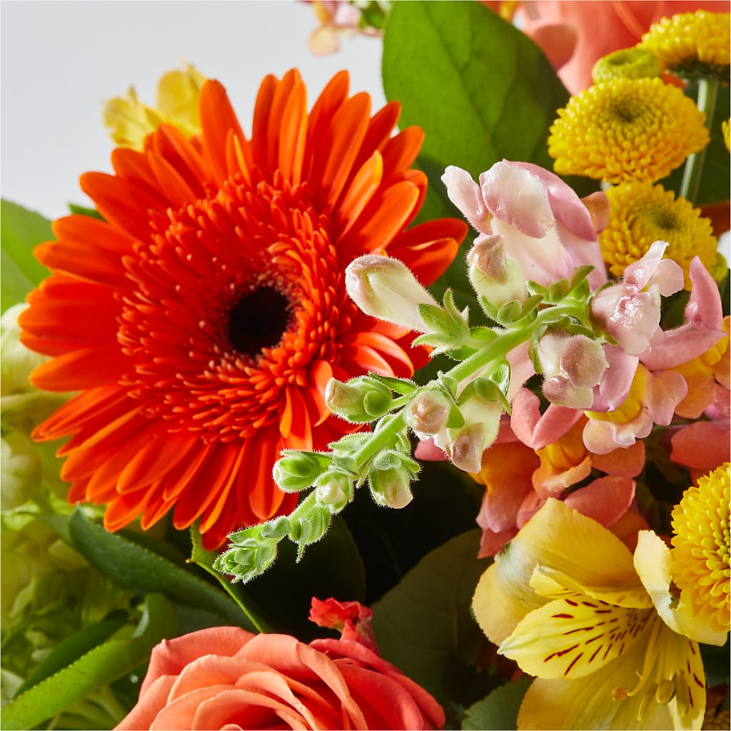 Autumn Sunshine Bouquet –  Ellijay Florist And Gifts, Ellijay GA
