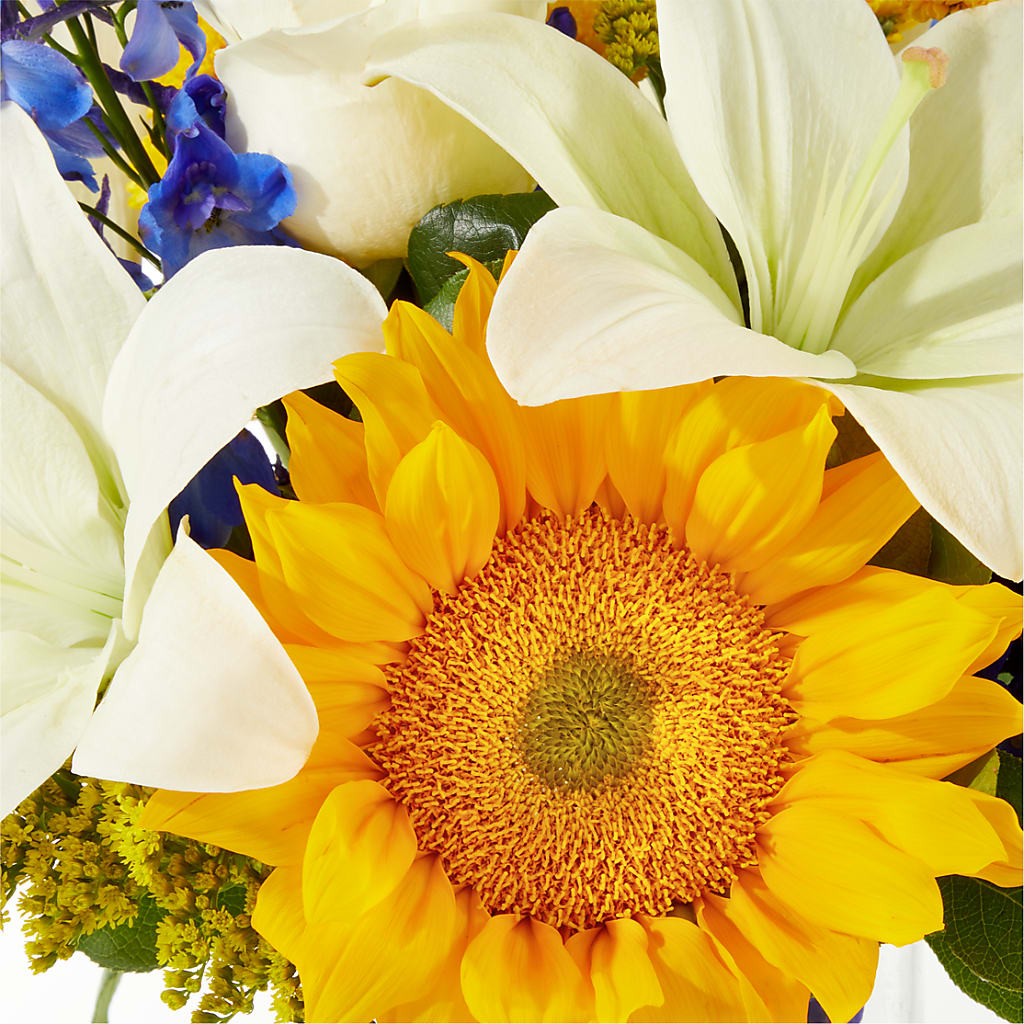 Stargazing Bouquet –  Ellijay Florist And Gifts, Ellijay GA