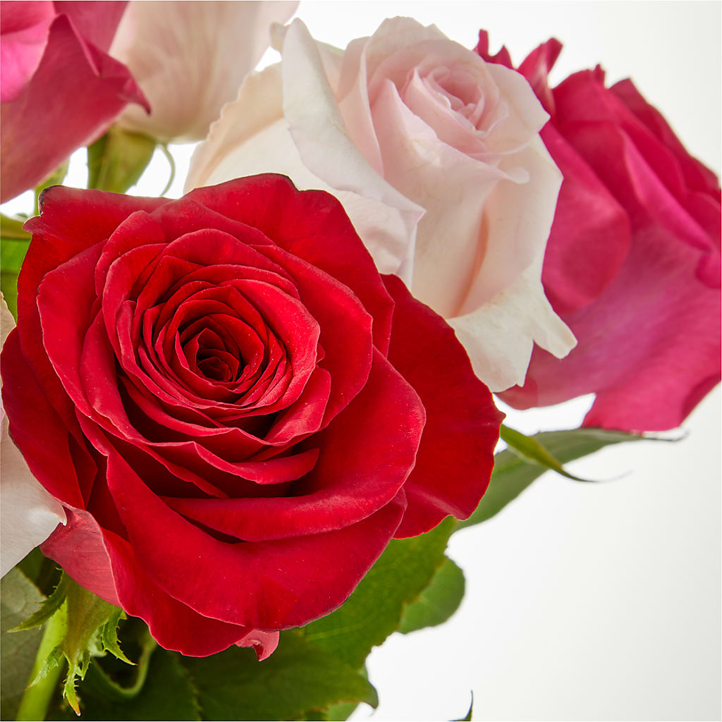 Charming Rose Bouquet –  Ellijay Florist And Gifts, Ellijay GA