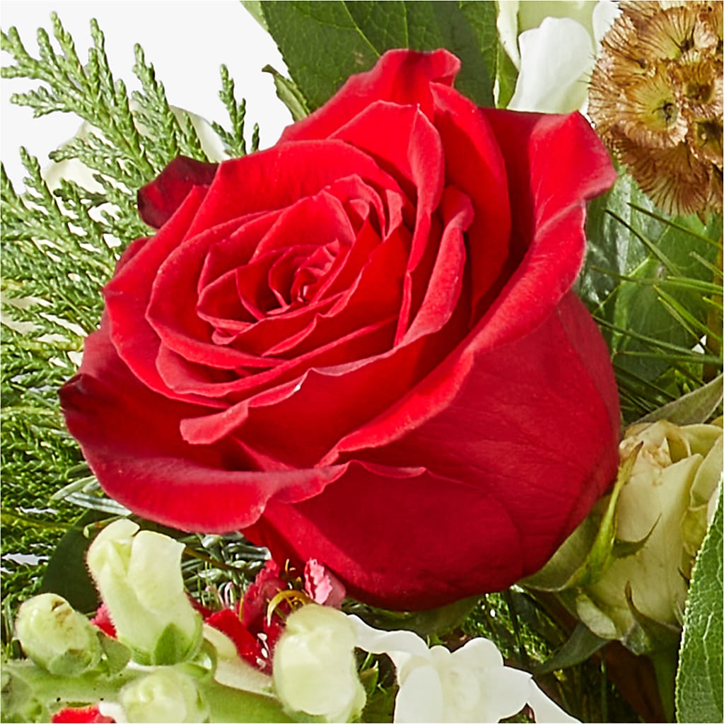 Deck the Halls Bouquet –  Ellijay Florist And Gifts, Ellijay GA