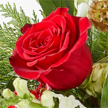 Deck the Halls Bouquet –  Ellijay Florist And Gifts, Ellijay GA