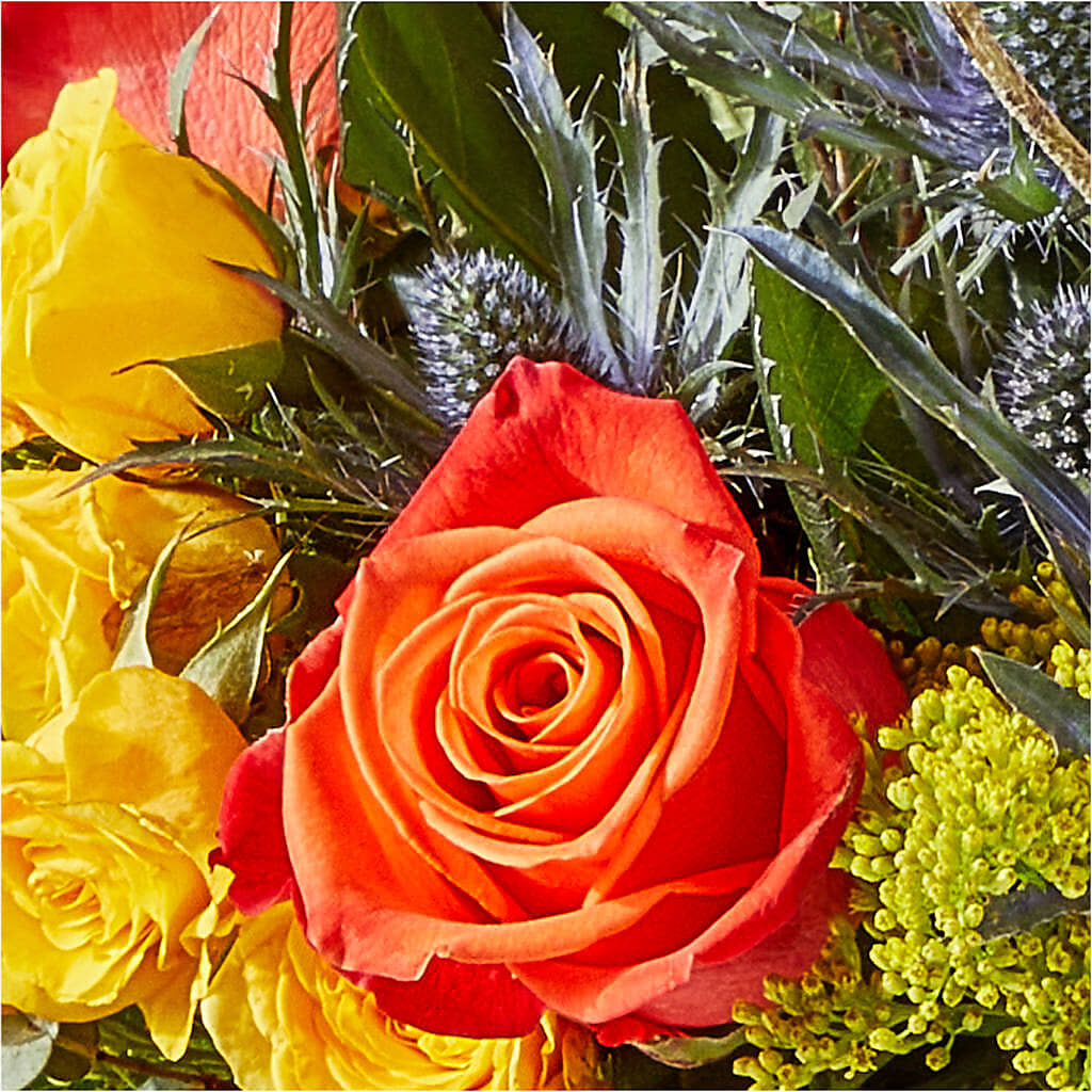 Disco Bouquet –  Ellijay Florist And Gifts, Ellijay GA