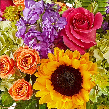 Vibrant Greetings Bouquet –  Ellijay Florist And Gifts, Ellijay GA