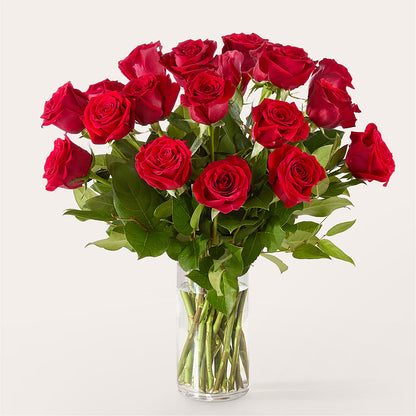 The One Red Rose Bouquet –  Ellijay Florist And Gifts, Ellijay GA