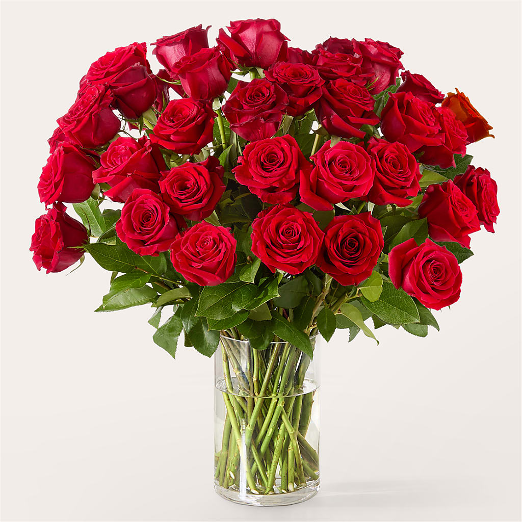 The One Red Rose Bouquet –  Ellijay Florist And Gifts, Ellijay GA