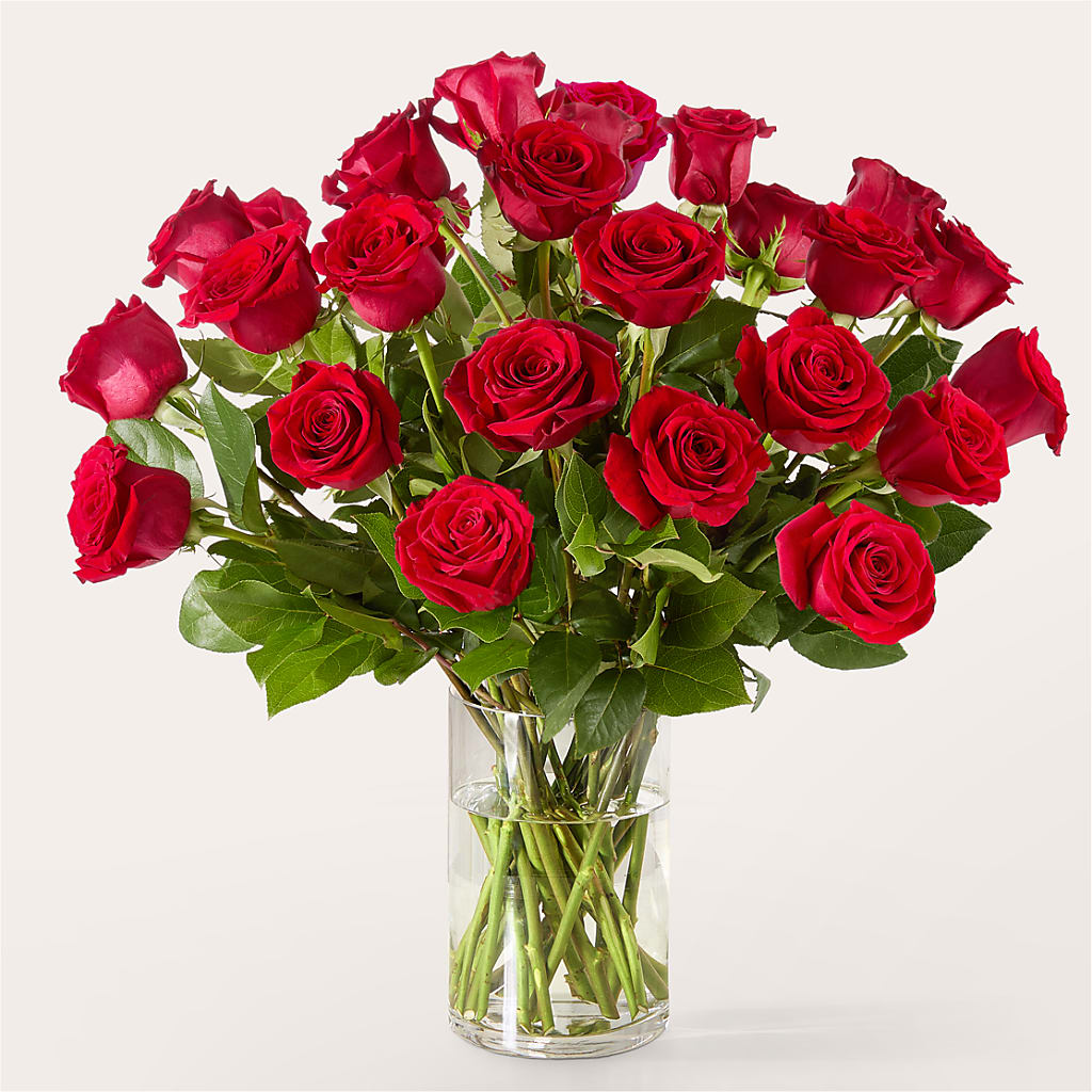 The One Red Rose Bouquet –  Ellijay Florist And Gifts, Ellijay GA