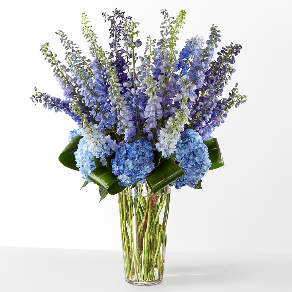 The Editorial –  Ellijay Florist And Gifts, Ellijay GA