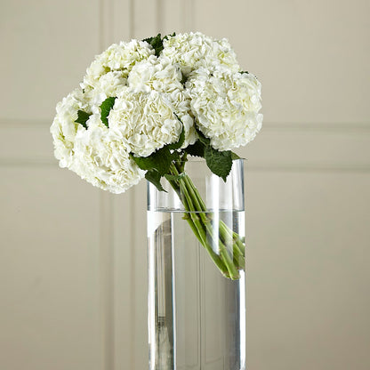 White Hydrangea Hand-Tied Bouquet –  Ellijay Florist And Gifts, Ellijay GA