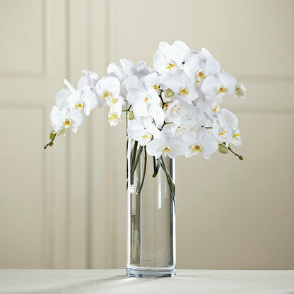 White Phalaenopsis Bouquet –  Ellijay Florist And Gifts, Ellijay GA