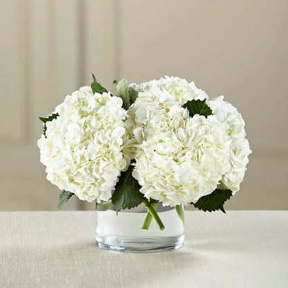 White Hydrangea Bouquet –  Ellijay Florist And Gifts, Ellijay GA