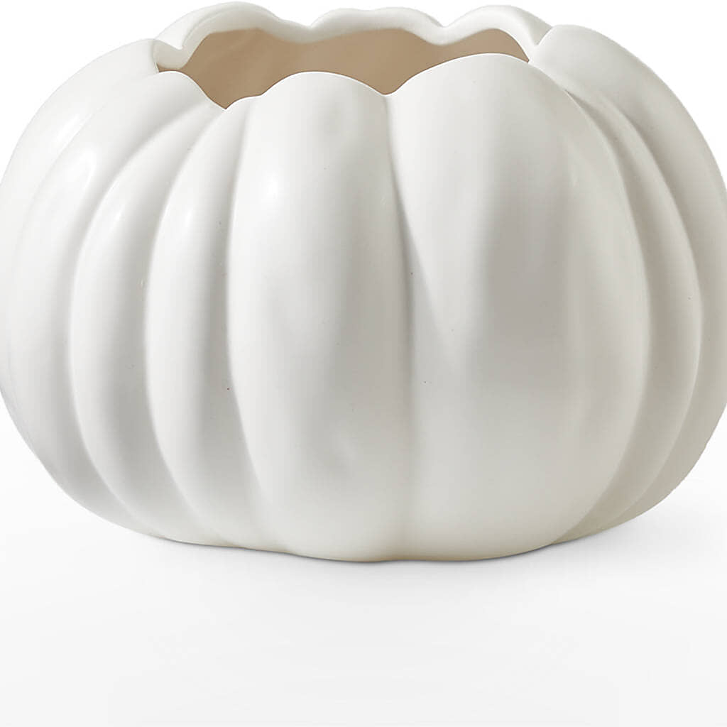 Autumn Air Pumpkin Bouquet –  Ellijay Florist And Gifts, Ellijay GA